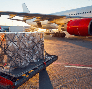 Airline Transportation